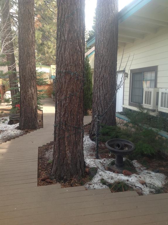 Tahoe Chalet Inn, The Theme Inn Lake Tahoe Airport المظهر الخارجي الصورة