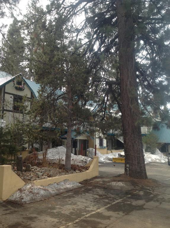 Tahoe Chalet Inn, The Theme Inn Lake Tahoe Airport المظهر الخارجي الصورة